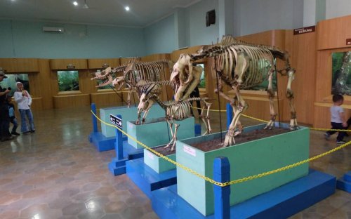 1. Taman Safari Indonesia, 2. Museum Zoologi, 3. Pelita Desa, 4. Taman Buah Mekarsari, 5. Agroedutourism IPB, 6. Kampung Horta, 7. Kampung Budaya Sindangbarang, 8. Kampoeng Bamboe, 9. Kampoeng Wisata Cinangneng, 10. Sentulfresh, Bermain Sambil Belajar di 10 Tempat Wisata Edukasi di Bogor