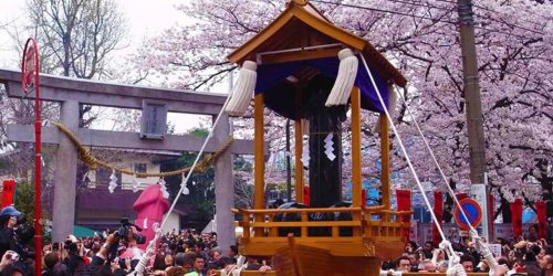 1. Festival Takayama, Prefektur Gifu, 2. Festival Inuyama, Prefektur Aichi, 3. Festival Kanamara, Prefektur Kanagawa, 4. Festival Sanja, 5. Festival Bunkyo Azalea, 6. Festival Enshu Yokosuka Mikumano Shrine Grand, 7. Festival Fuji Shibazakura, 8. Festival Bunga Sakura Hirosaki, 9. Festival Ushibuka Haiya, 10. Festival Kemari, Top 10+ Festival Musim Semi di Jepang saat Bunga Sakura Mekar