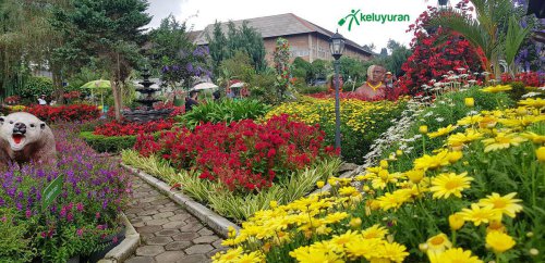 Taman Begonia Lembang, Taman Indah dengan Beragam Bunga