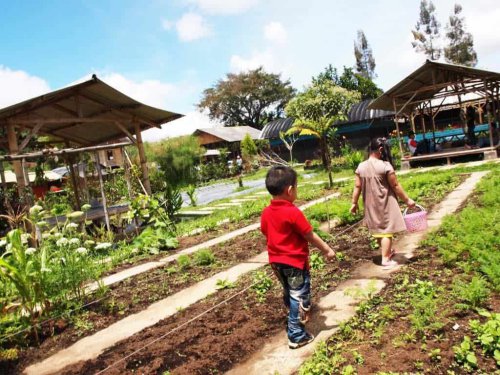 Jendela Alam, Wisata Bermain Anak Sambil Belajar dari Alam