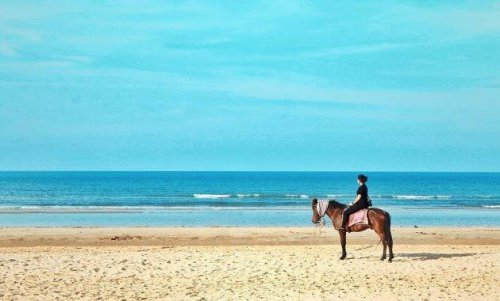 Yuk, Kunjungi 10 Destinasi Wisata Tersembunyi di Sumenep!
