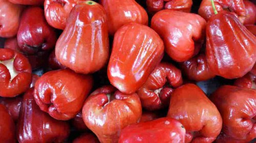 Top 10+ Oleh-Oleh Khas Demak yang Wajib untuk Dibawa Pulang