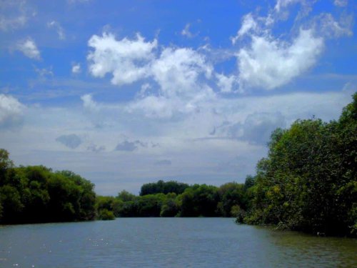 Top 9+ Tempat Wisata di Demak yang Menarik untuk Dikunjungi