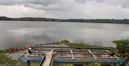 1. Danau Way Jepara, 2. Pandan Alas Sriminosari, 3. Sumur Tujuh, 4. Danau Kemuning, 5. Pantai Kuala Kambas, 6. Camp Eru, 7. Taman Nasional Way Kambas, 8. Pantai Kerang Mas, 9. Cagar Budaya Pugung Raharjo, 10. Goa Pandan, Top 10+ Tempat Wisata di Lampung Timur yang Indah dan Asri