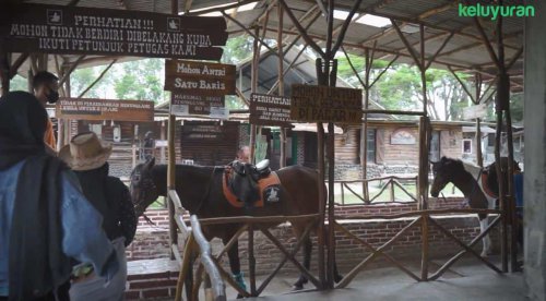 Yuk, Coba Wisata Kuda Ala Koboi di De Ranch Lembang!