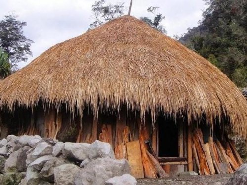 1. Rumah Adat Honai, 2. Rumah Adat Ebei untuk Perempuan, 3. Rumah Pohon Suku Korowai, 4. Rumah Adat Rumsram, 5. Rumah Adat Jew dari Suku Asmat&nbsp;, 6. Rumah Adat Kariwari, 7. Rumah Adat Kaki Seribu, 8. Rumah Adat Wamai, Top 8+ Jenis Rumah Adat Papua, Ada yang Tertinggi di Dunia Lho!