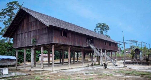 Top 5+ Rumah Adat Kalimantan Barat dari Suku Dayak dan Melayu
