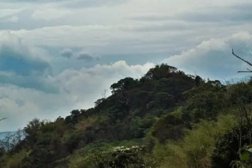 Namanya Diambil dari Nama Pohon, Masih Memegang Teguh Kepercayaan Leluhur, Beralih dari Beras ke Singkong, Dua Mata Air Sakral, Menjaga Kesakralan Hutan, Ketika Keluar Kampung Membawa Bekal Singkong, Fakta Kampung Adat Cireundeu yang Mengonsumsi Singkong