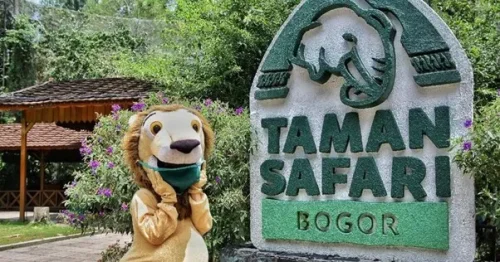 Top 10+ Wahana Terbaik yang Ada di Taman Safari Bogor