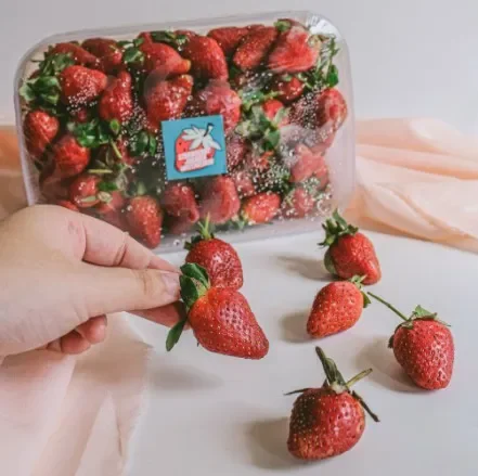 1. Strawberry, 2. Bandrek abah&nbsp;, 3. Kalua Jeruk, 4. Cheese stick warna-warni&nbsp;, 5. Opak Ketan&nbsp;, 6. Kopi Ciwidey&nbsp;, Inilah 6 Oleh-Oleh Khas Ciwidey yang Wajib Dibawa Pulang