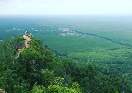 1. Bukit Pamingke, 2. Puncak Manalese, 3. Pulau Bisky, 4. Pantai Monyet, 5. Tebing Batu Napponol, 6. Goa Kaca, 7. Tangkahan Lobu, 8. Puncak Aek Ronggas, 9. Wisata Alam Aek Buru, 10. Air Terjun Jeri, Top 10+ Tempat Wisata untuk Keluarga dan Petualang di Labura