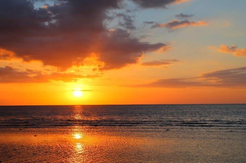 Lovina Beach Bali, Best Place to Swim with Dolphins in Bali