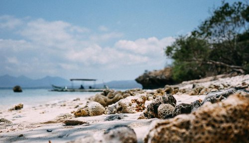 Menjangan Island, The Hidden Jewel in Bali