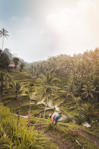 Top 12+ Tempat Wisata Terbaik di Indonesia yang Mendunia