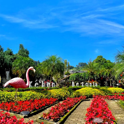 Top 10+ Taman Bunga di Jawa Barat, Ada yang Free HTM!
