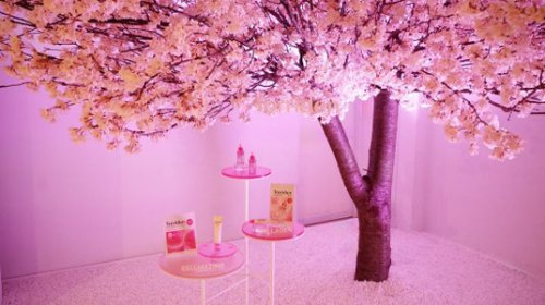 【開催レポート】Torriden（トリデン）のポップアップストア『Bloom Cafe by Torriden』、渋谷にて連日盛況のうちに閉幕